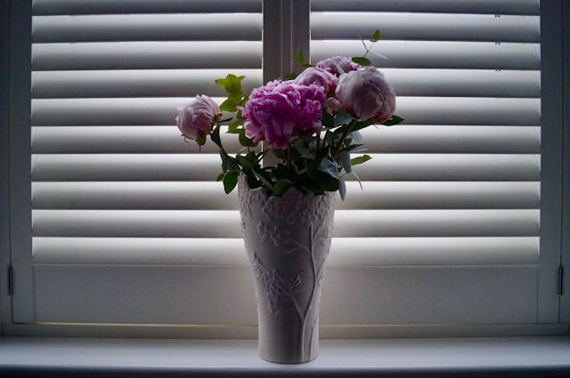 A flower pot near blinds between glass