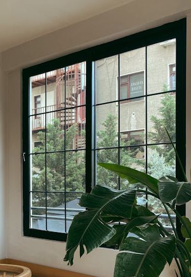 black framed glass windows paired with plants gives a beautiful look to the room.